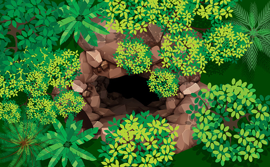 top view stone cave in the forest