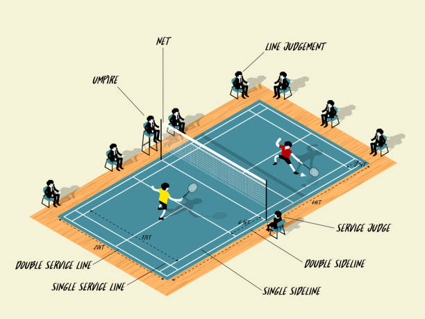 ilustrasi vektor info grafis pertandingan lapangan bulu tangkis, bulu tangkis sport info konsep desain grafis - badminton court ilustrasi stok