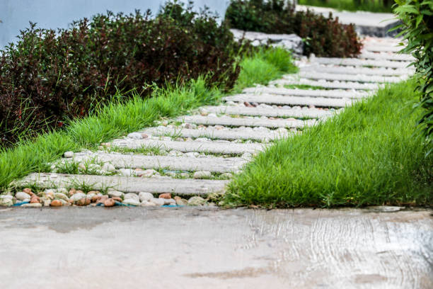 istock Walkway in the garden 1211467676