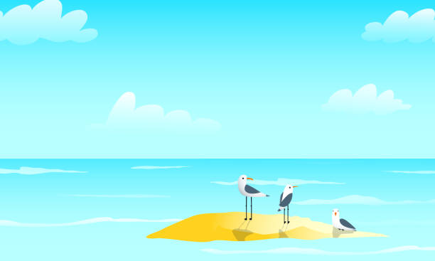 Maritime seascape navy design with seagulls birds sitting on the shore, blue sky and sea background. Horizontal landscape oceanic naval illustration with sea birds gulls on sandbank. Vector modern sailing design. sandbar stock illustrations