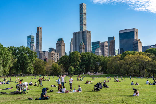 View of Sheep Meadow and downtown Manhattan View of Sheep Meadow in Central Park and the midtown Manhattan city skyline on October 12, 2019 in New York central park manhattan stock pictures, royalty-free photos & images
