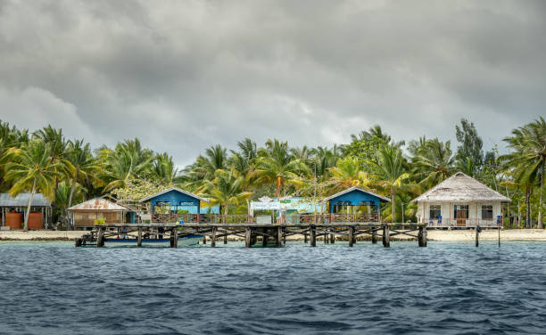 istock Raja Ampat village and traditional habitations 1211472037