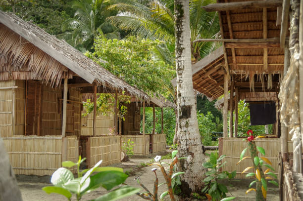 istock Raja Ampat village and traditional habitations 1211472087