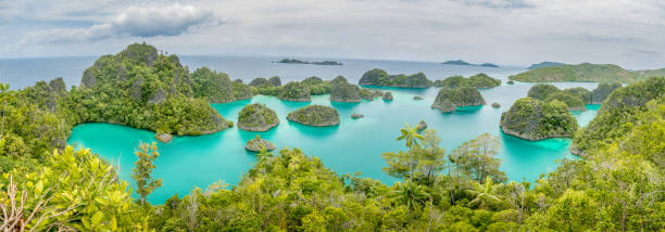 istock raja ampat aerial 1211472706