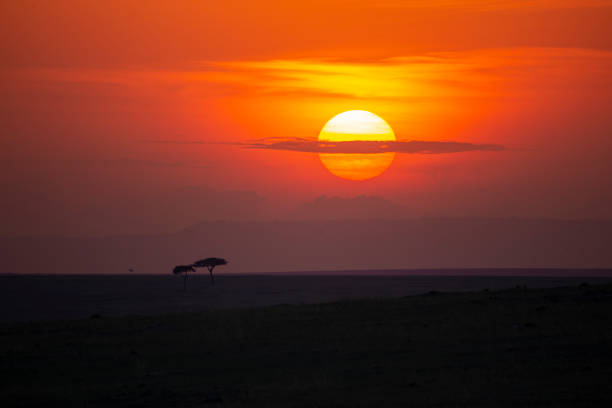 istock Very colourful setting sun over Masai Mara Plains, Kenya,Africa, 1211476579