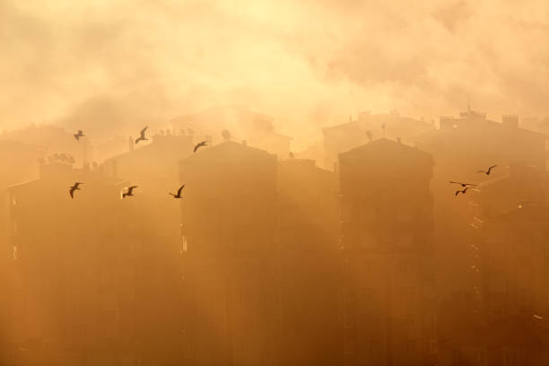 istock environmental pollution concept of smog and cityscape 1211481665