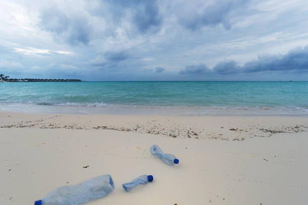 contaminación de la playa - botellas de plástico en la playa - textured nature hurricane caribbean sea fotografías e imágenes de stock