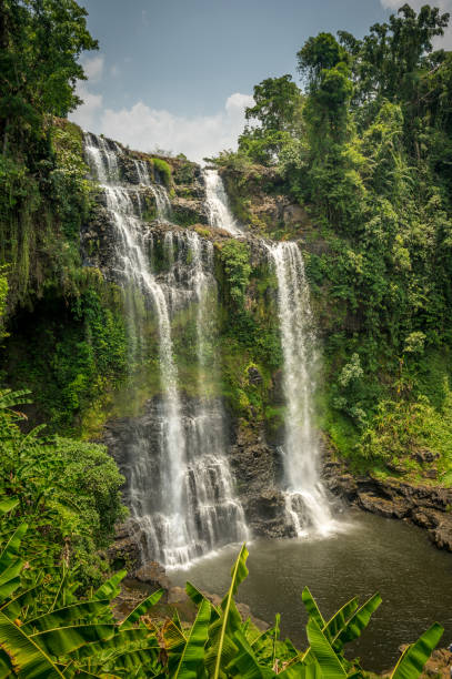 istock Bolavan Plateau, Laos 1211482460