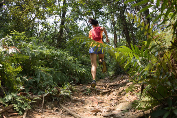 istock Woman trail runner running in tropical forest 1211485694