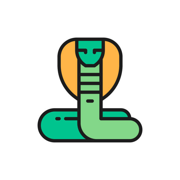 ilustrações de stock, clip art, desenhos animados e ícones de cobra, snake flat color line icon. isolated on white background - snake cobra egyptian cobra poisonous organism