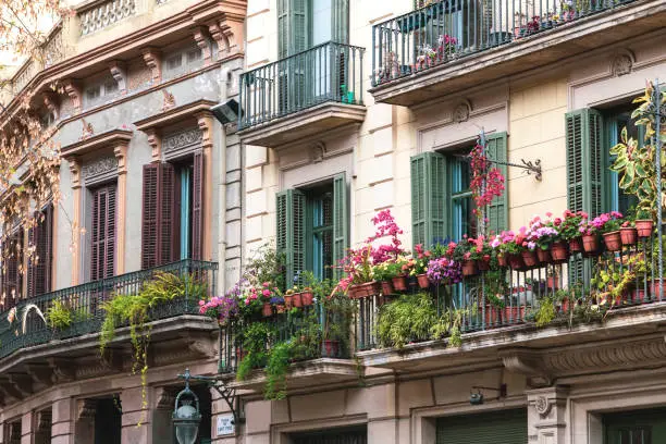Photo of Balconies in Barcelona full of bloomed flower pots.