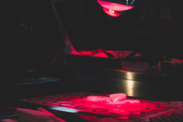 istock Infrared heating lamps heating sugared candy products. 1211493343