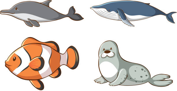Isolated Picture Of Sea Animals Stock Illustration - Download Image Now - Backgrounds, Fish, Sea Life - iStock Isolated Picture Of Sea Animals Stock Illustration - Download Image Now - Backgrounds, Fish, Sea Life - iStock