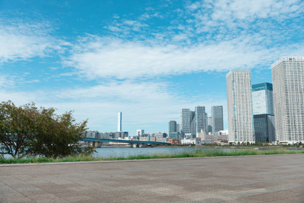 Tokyo toyosu