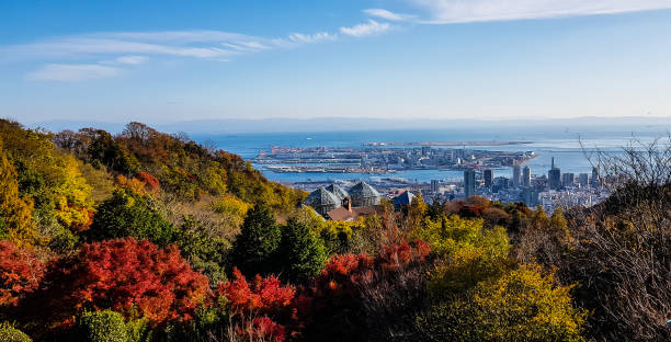 istock Top view of Kobe 1211503209
