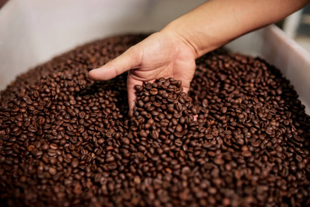 istock Person mixing roasted coffee beans 1211504264
