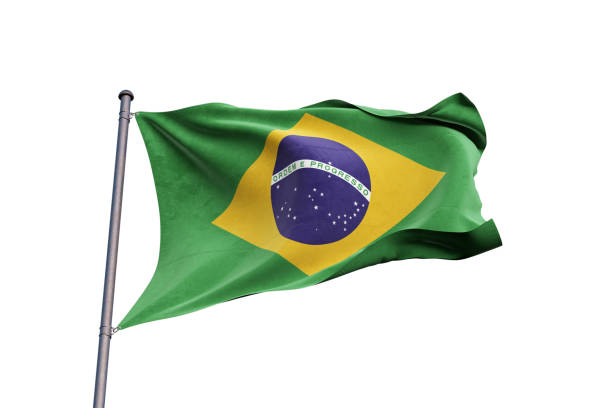 흰색 배경에 흔들리는 브라질 국기, 클로즈업, 고립 - 3d 일러스트 - 브라질 뉴스 사진 이미지
