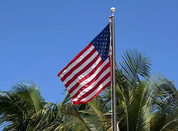 Photo of American Stars & Stripes Flag on Palm Background