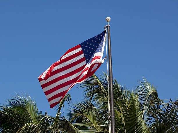 istock American Stars & Stripes Flag on Palm Background 121150950
