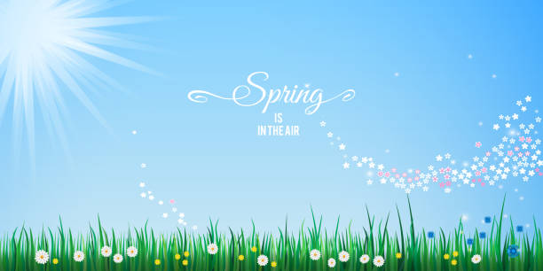 illustrazioni stock, clip art, cartoni animati e icone di tendenza di disegno astratto bandiera primavera con bordo erba verde, cielo blu e sole splendente - city of sunrise immagine