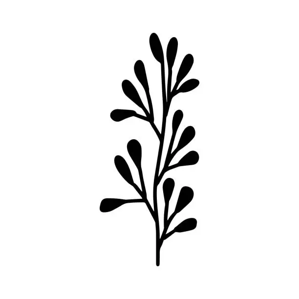 Vector illustration of Sign herbal Twig leaves. Floral sprig. Spring flower, buttons isolated on white background. Doodle outline vector illustration