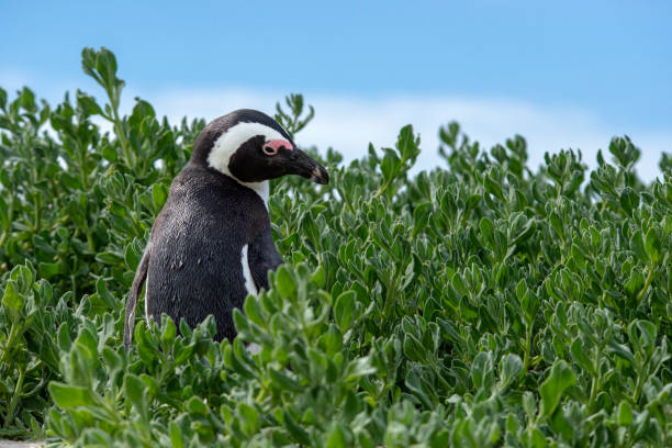 Scenic nature spots and wildlife encounters