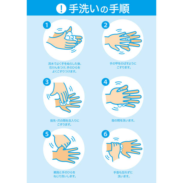 illustrations, cliparts, dessins animés et icônes de se laver les mains correctement infographie, illustration vectorielle. - fingernail human finger clean human thumb