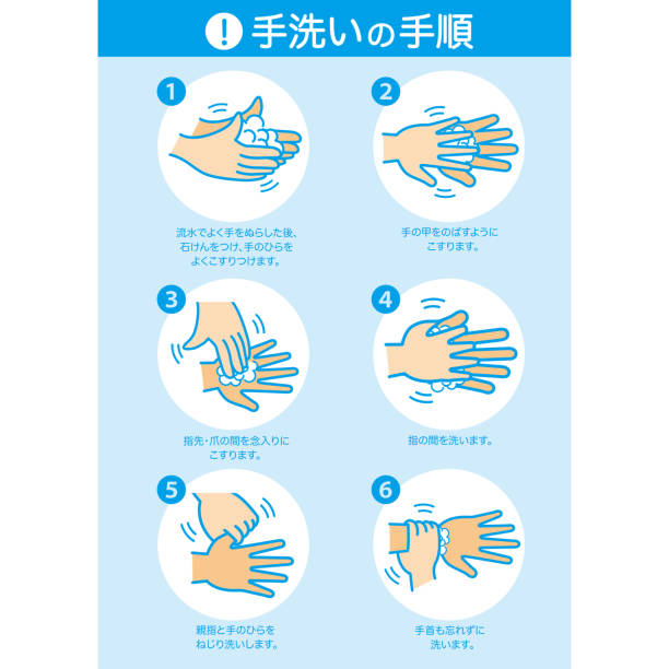 illustrazioni stock, clip art, cartoni animati e icone di tendenza di lavarsi correttamente le mani infografica, illustrazione vettoriale. - fingernail human finger clean human thumb