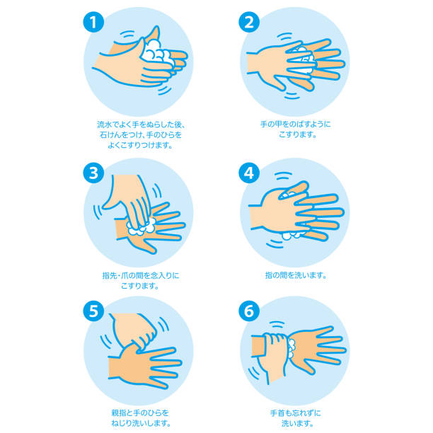 illustrations, cliparts, dessins animés et icônes de se laver les mains correctement infographie, illustration vectorielle. - fingernail human finger clean human thumb