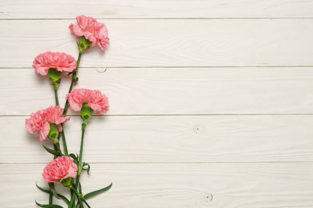 istock Pink carnation flower bouquet on white wood. 1211522665