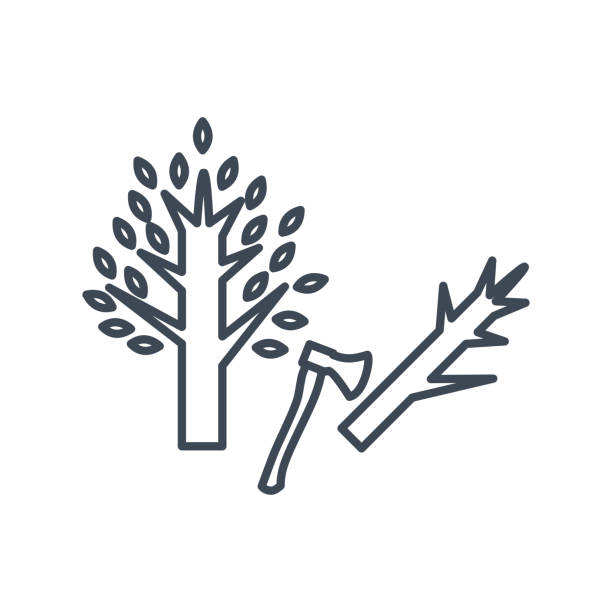 ilustrações de stock, clip art, desenhos animados e ícones de thin line icon forestry and silviculture, cutting tree, axe - silviculture