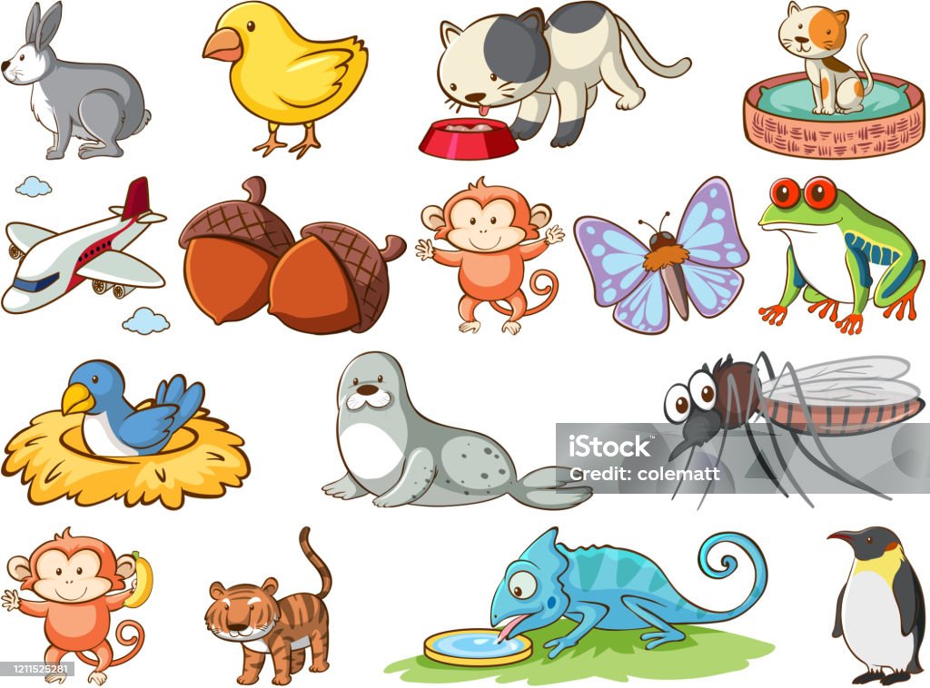 Large Set Of Wildlife With Many Types Of Animals Stock Illustration -  Download Image Now - Animal Nest, Gorilla, Acorn - iStock