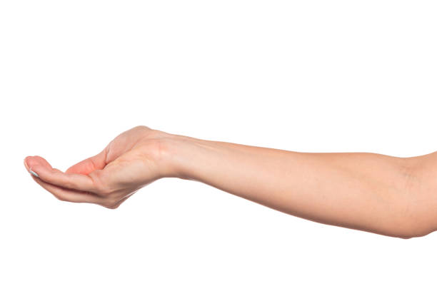istock female hand isolated on white background showing hand gestures 1211525518