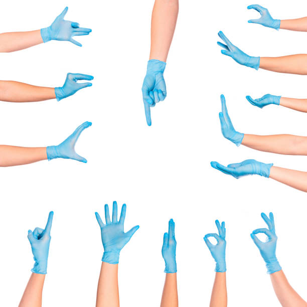 conjunto de manos de la doctora en guante azul aislado sobre fondo blanco - guante quirúrgico fotografías e imágenes de stock
