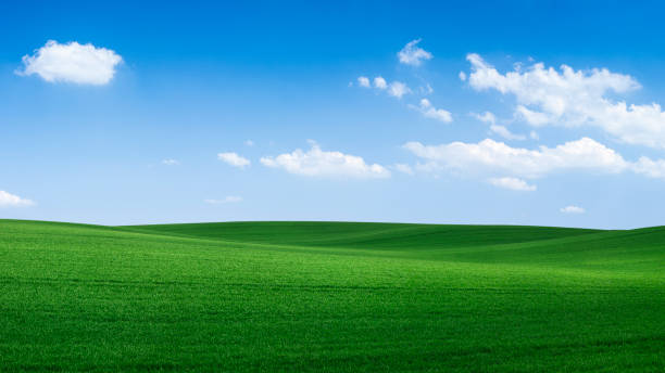 istock Panoramic spring landscape XXXXL 62 MPix - green field, blue sky 1211528179