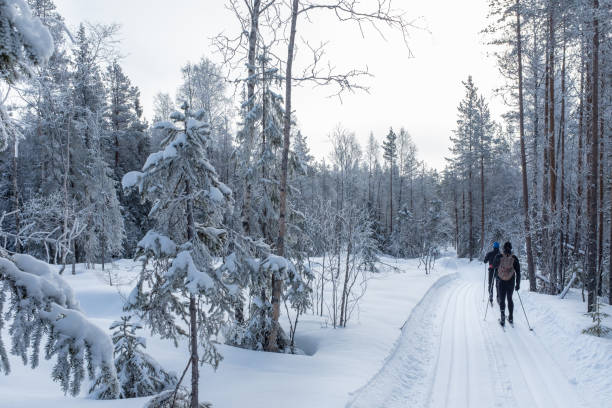 cross-country skiing - norway - nordic event fotos imagens e fotografias de stock