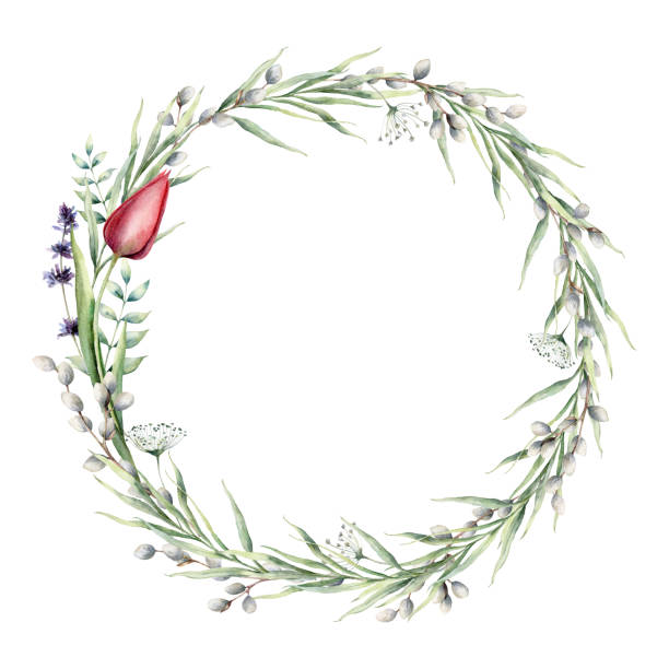 illustrazioni stock, clip art, cartoni animati e icone di tendenza di ghena floreale ad acquerello con tulipano e lavanda. fiori delle vacanze dipinti a mano, salice, bocciolo, erba e foglie isolate su sfondo bianco. illustrazione primaverile per design, stampa, tessuto o sfondo. - circle nature botany bud