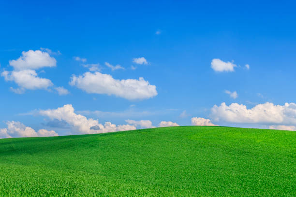 Square spring landscape - green fields, sky with clouds - 45 MPix XXXXL size This panoramic landscape is an very high resolution multi-frame composite and is suitable for large scale printing.