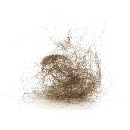 Clump of hair. Close up. Isolated on a white background.