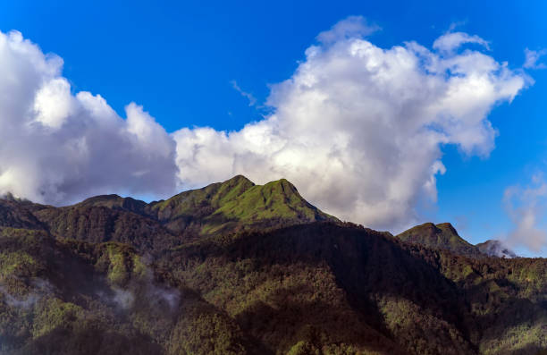 istock Mountain range silhouettes fog nature background 1211529432