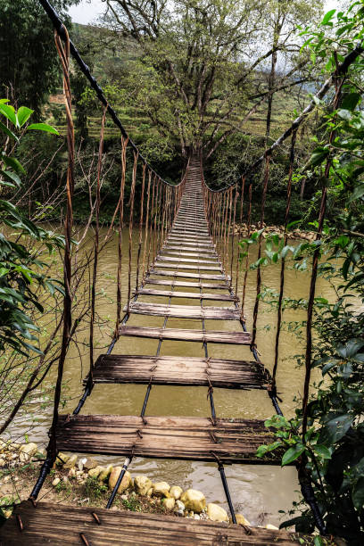 istock Old suspension bridge river tropical forest 1211529479