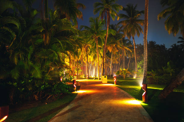 istock Tropical Night Sky, Coconut palm trees and stars 1211531304