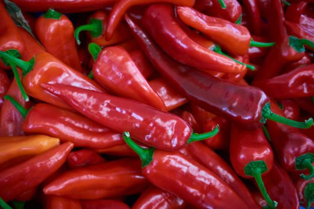 地元市場での新鮮な有機赤唐辛子 - pepper bell pepper market spice ストックフォトと画像