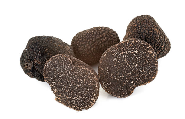 istock Tuber melanosporum 1211534333