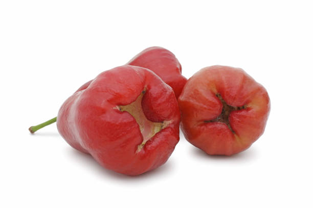 istock Rose apples, chomphu or thailand apple fruit 1211534432