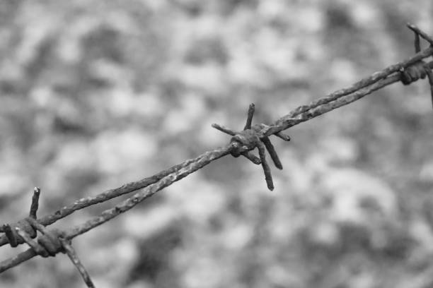 istock old rusty barbed wire on an abandoned prison fence 1211534695