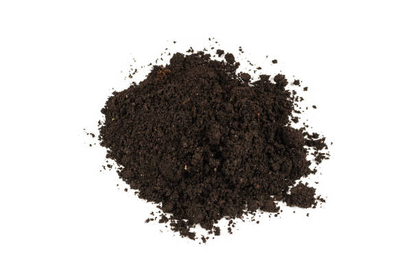 istock A handful of earth isolated on white background. 1211535930