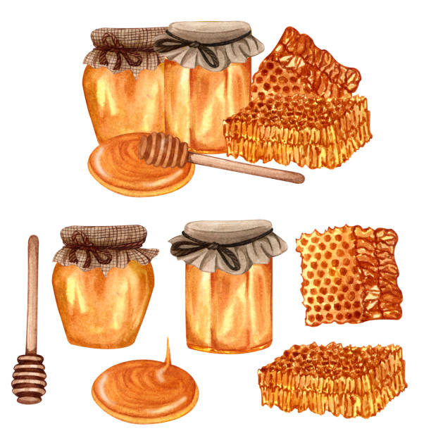 ilustrações, clipart, desenhos animados e ícones de conjunto de mel fresco de aquarela com favo de mel, dipper de mel, pote de vidro com mel. ilustração natural orgânica desenhada à mão. - syrup jar sticky isolated objects