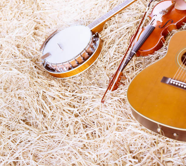 istock Acoustic guitar, banjo, and violin lying on straw 1211541615