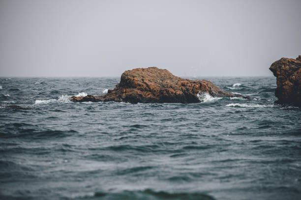 lo spruzzo di un'onda di mare su una roccia - flowing nature spray rock foto e immagini stock